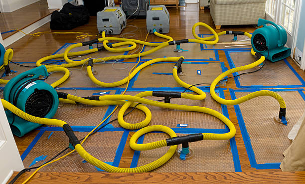 Professional Crawl Space Water Removal technician working in East Berne, NY